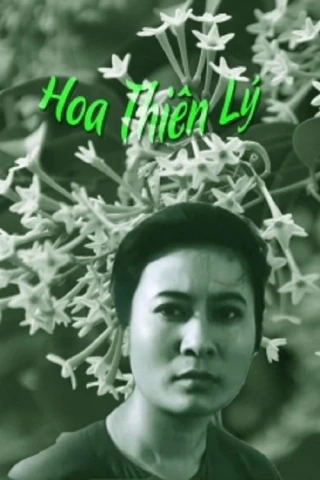 Hoa Thiên Lý (Tonkin Jasmine Flower) [1973]